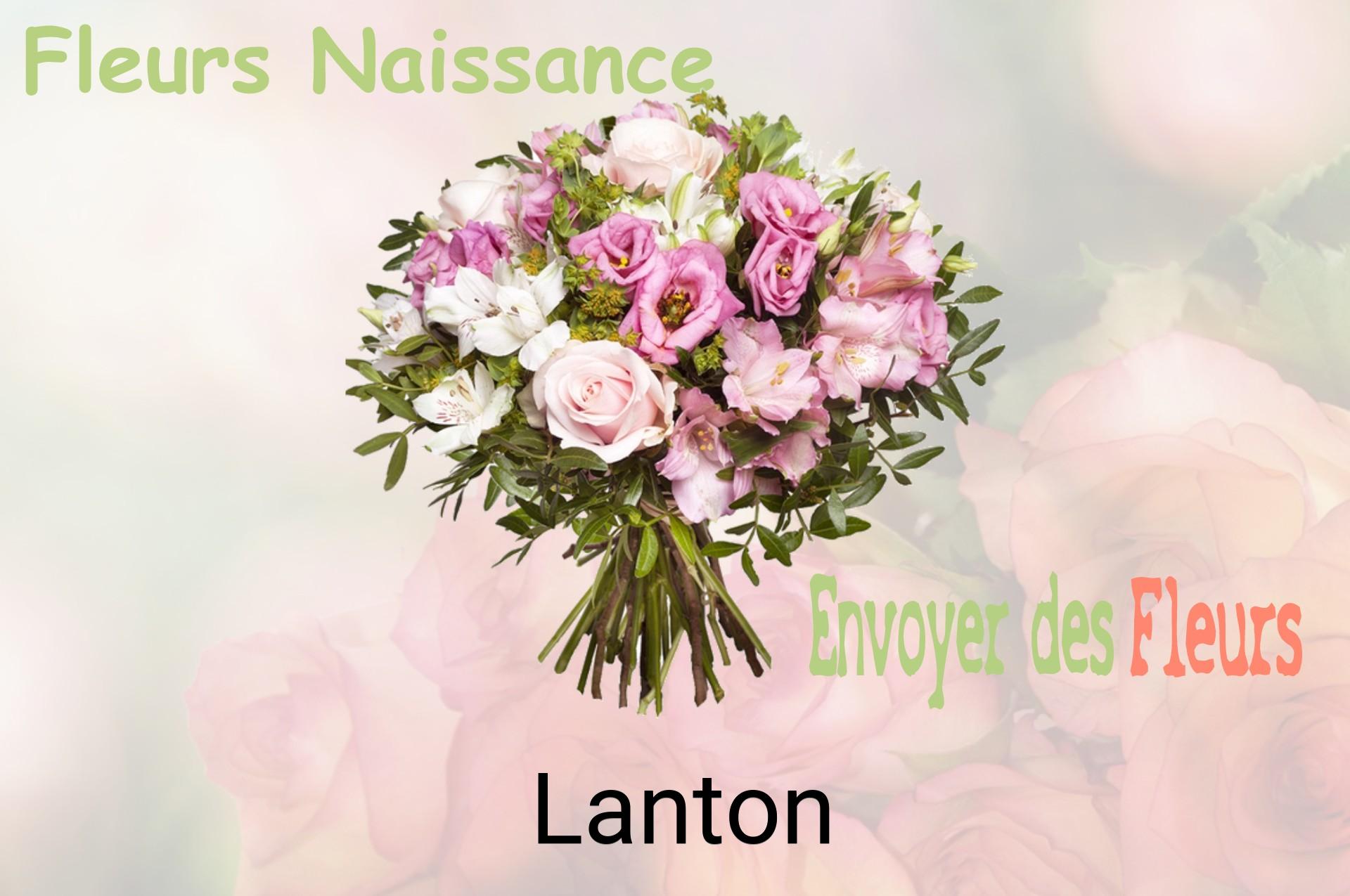 Bouquet de fleurs de naissance livré à Lanton
